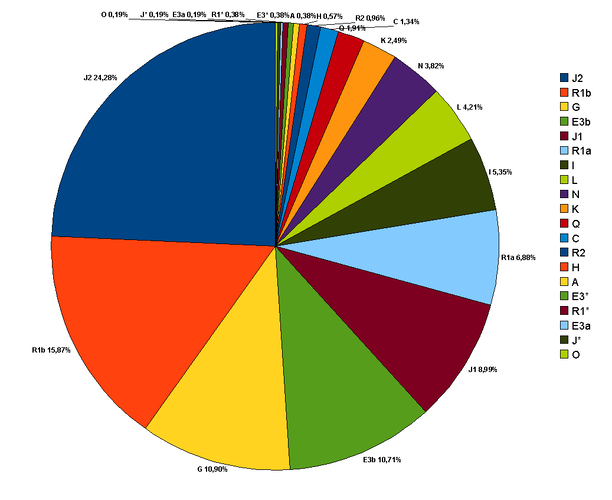Turkey_Y_chromosome(in_20_haplogroups).png
