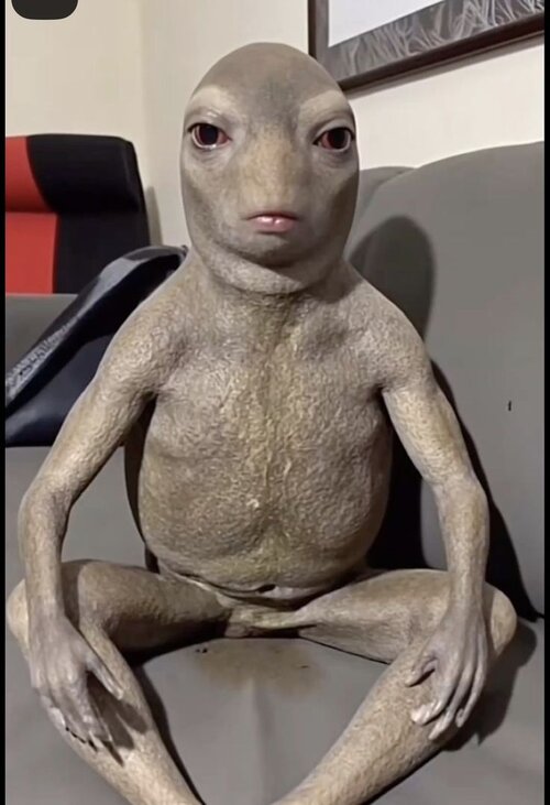 34314783da96a8c960fadcf9c87a9299 (1).jpg