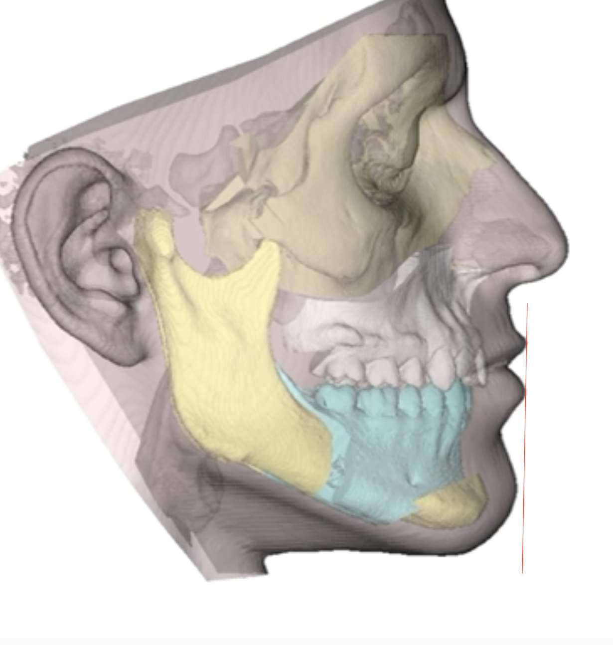 Screenshot 2026 01 31 at 31608AM