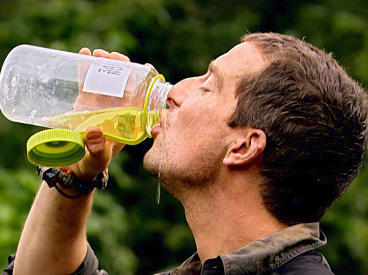 Bear Grylls drinking pee hero