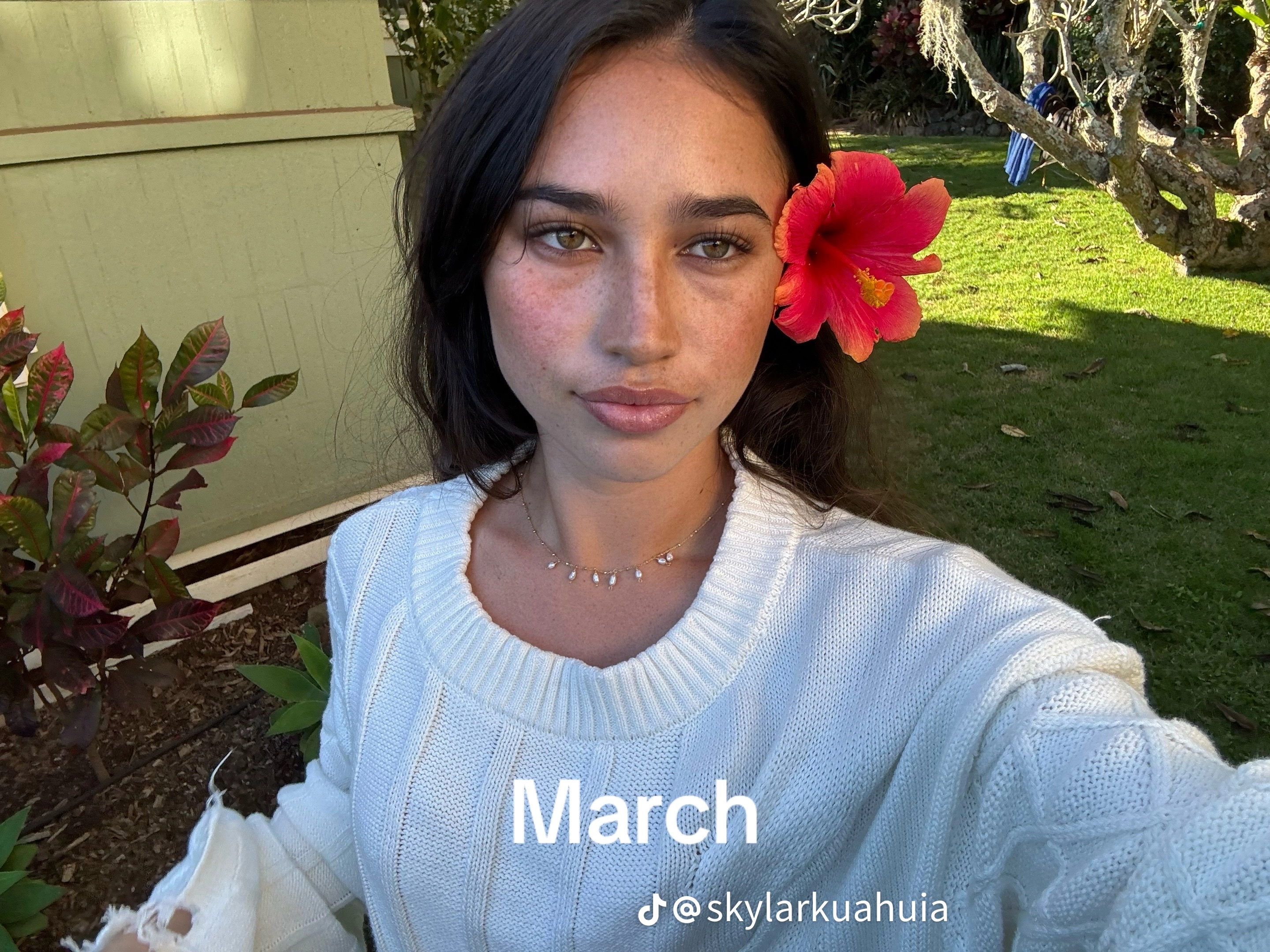 88f1d1606db65503429085674654247b