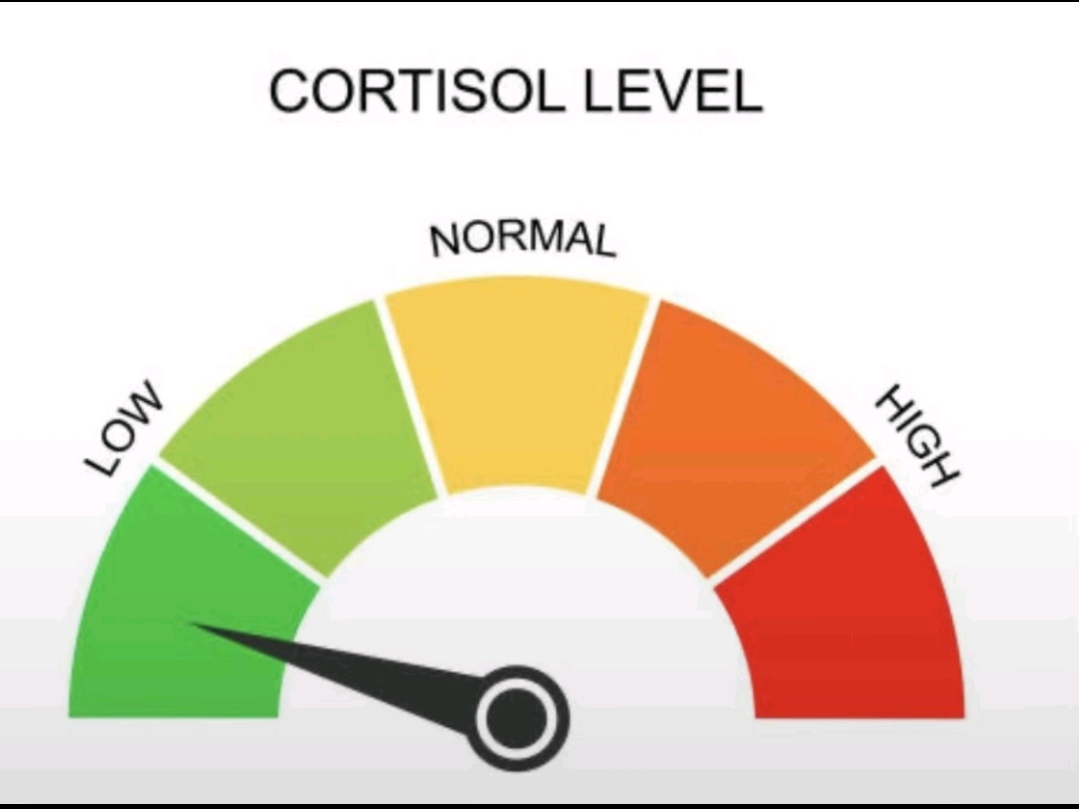 Screenshot 20251127 181733