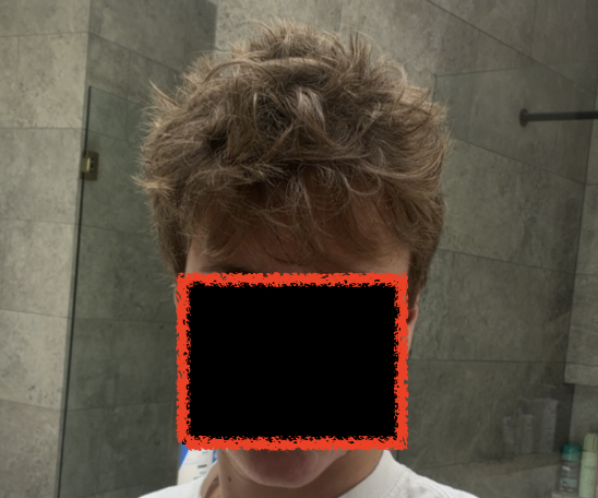 Screen Shot 2026 02 02 at 124405 pm