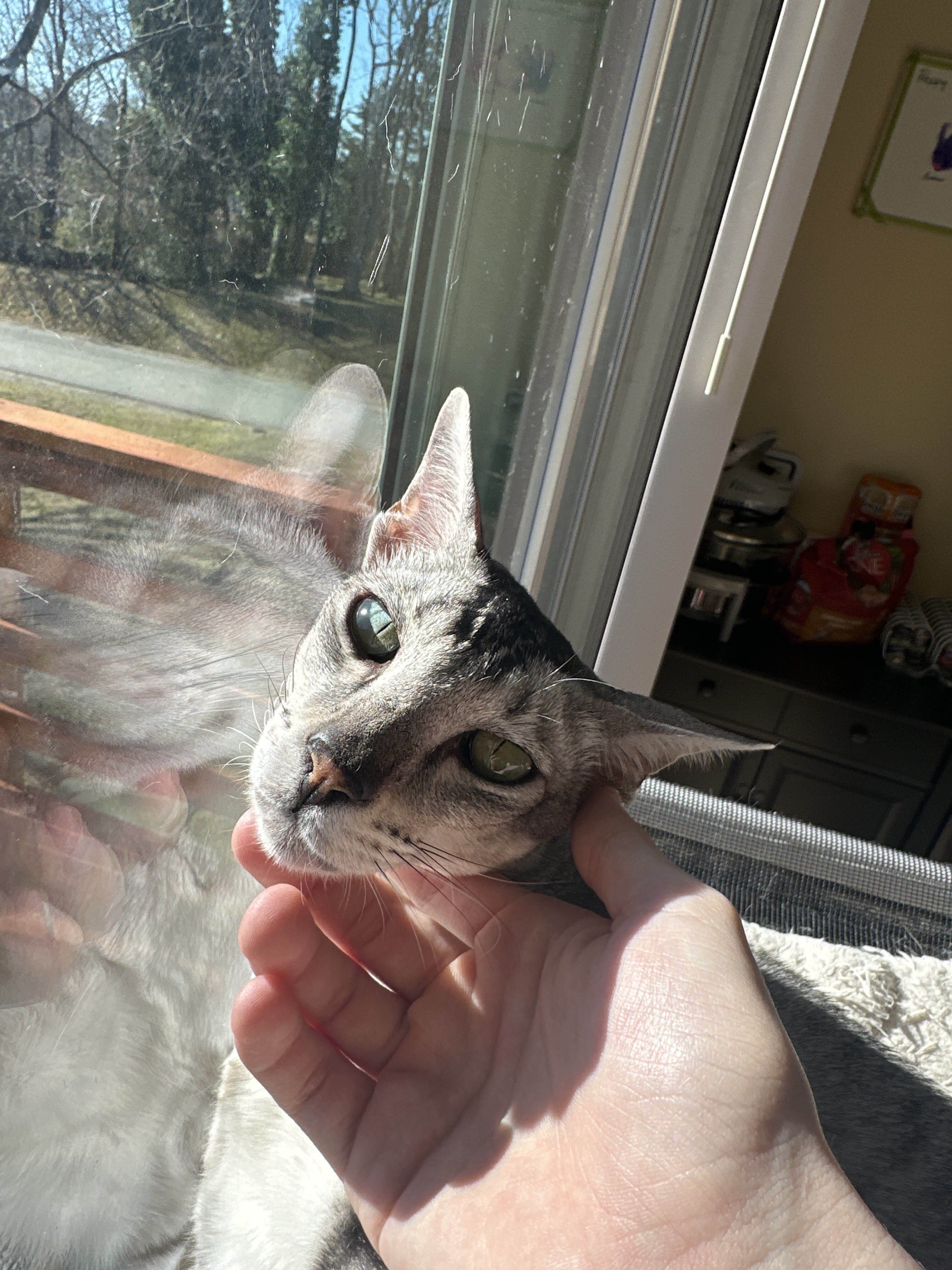 IMG F25FC907 77AC 47AC BE5F FA884254AD34