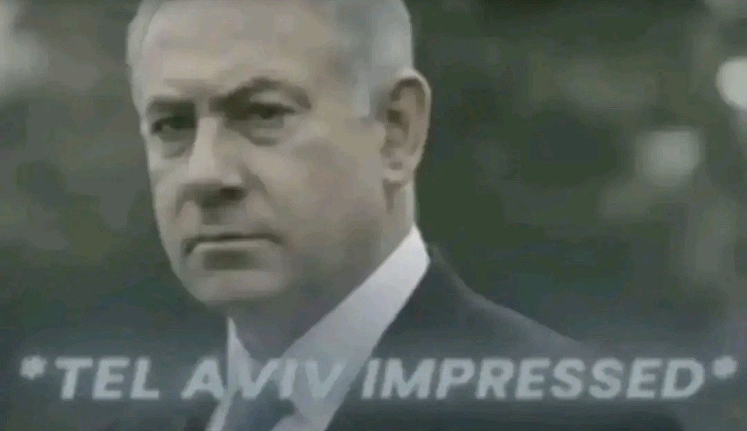 1000066360