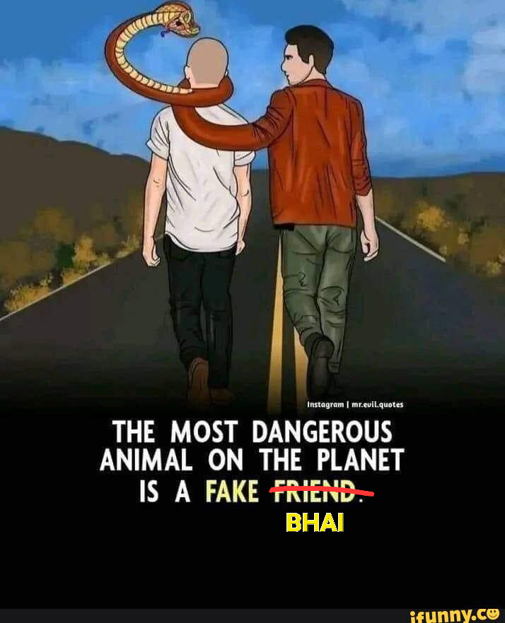 5777433 1768768245936