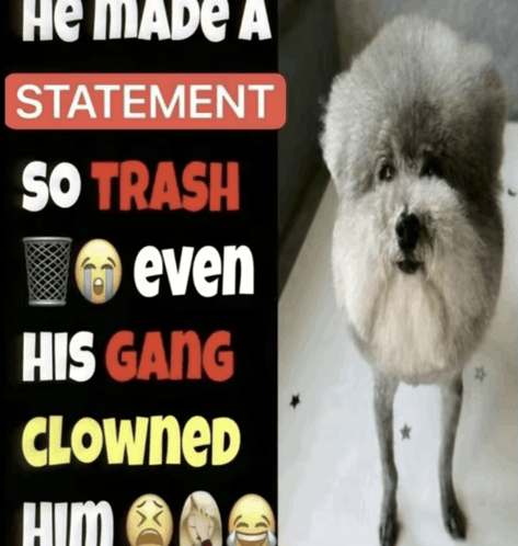 He made a statement so trash