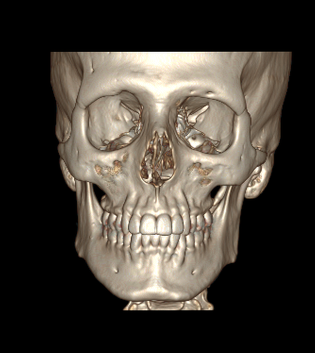 Screenshot 2026 02 04 at 123745AM