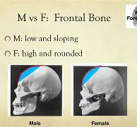 1770210871320