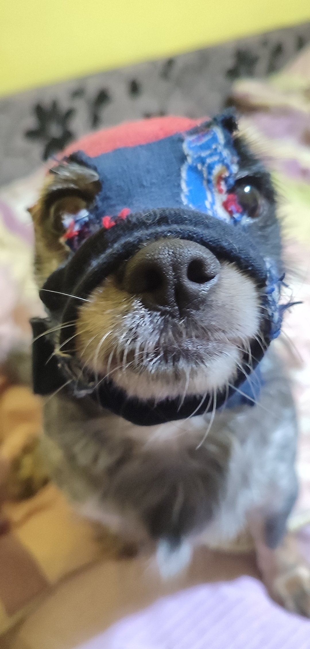 Screenshot 2026 02 03 21 07 03 805 commiuigallery edit