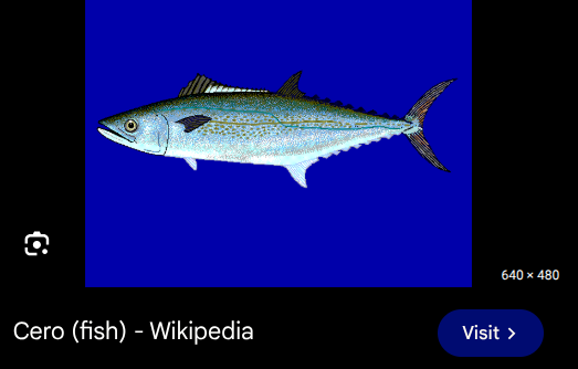 Screenshot 2026 02 04 114613 PM