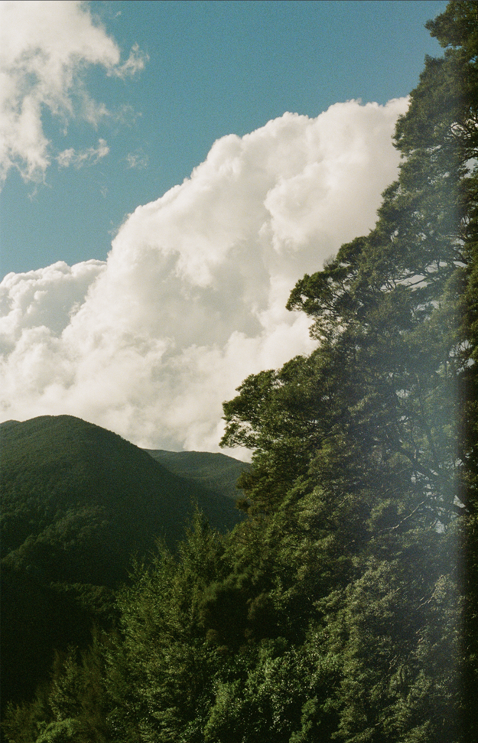 Screenshot 2026 02 04 at 115915PM