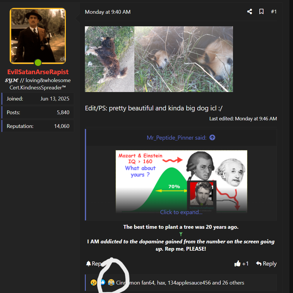 Screenshot 2026 02 05 173127