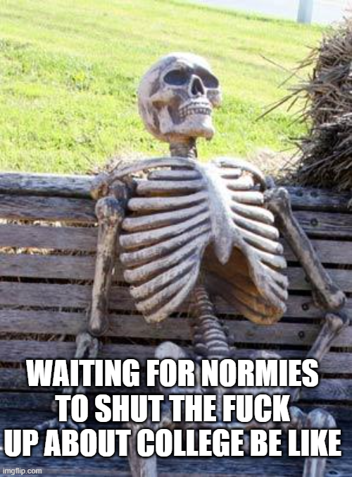 1770343331607