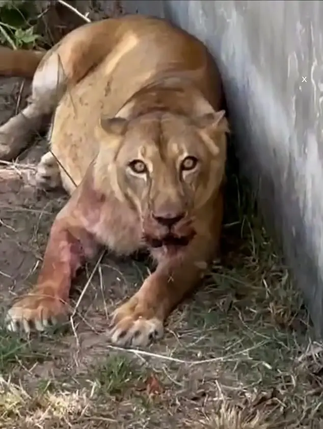 1770320872J2fxMNpvI jeuA