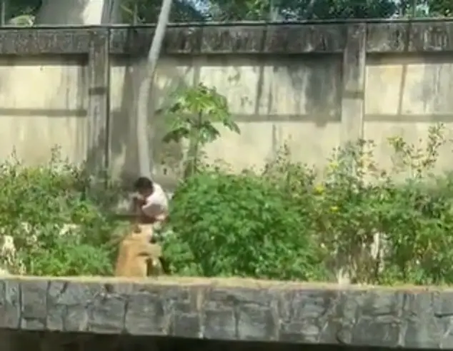 1770320872o 92O09snIGd g