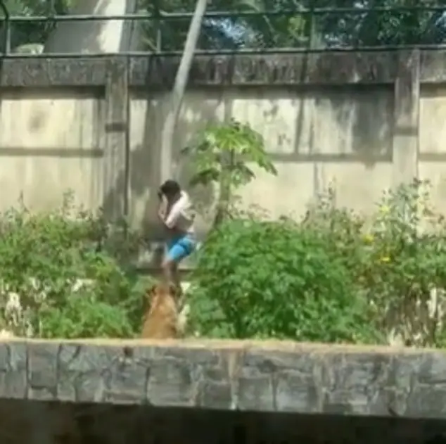 1770320871yNUg4HCQqPyVSw