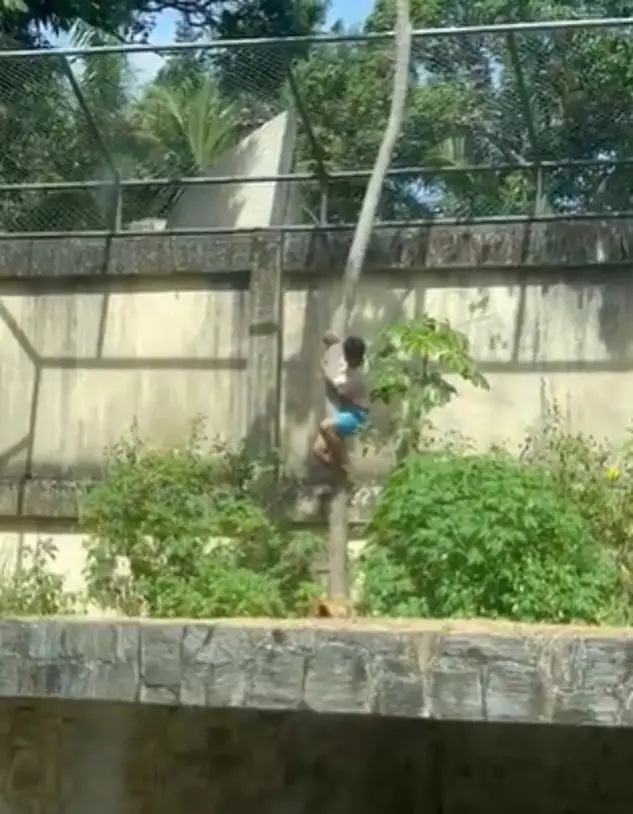 1770320871fUYacth8n12FaQ