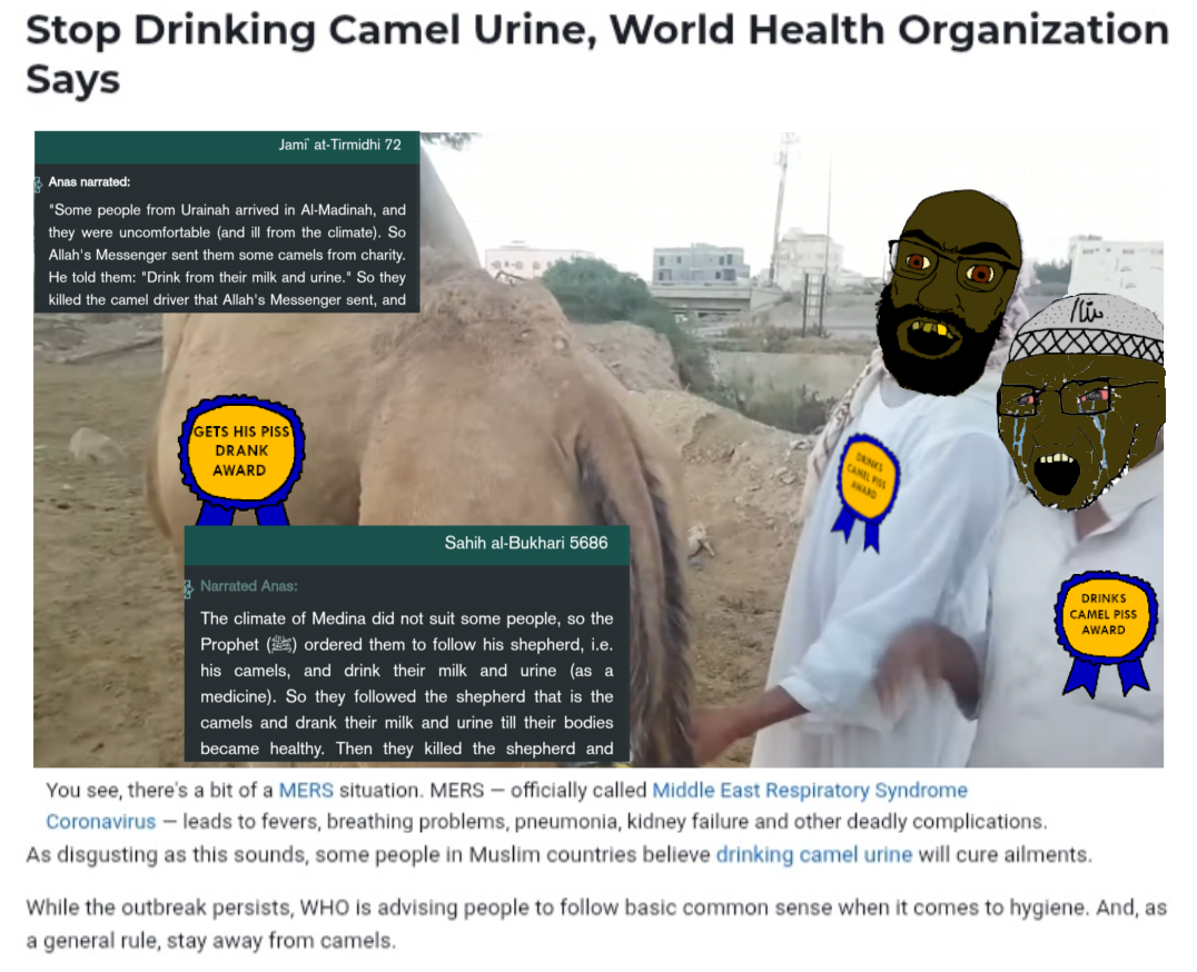 Camel urine