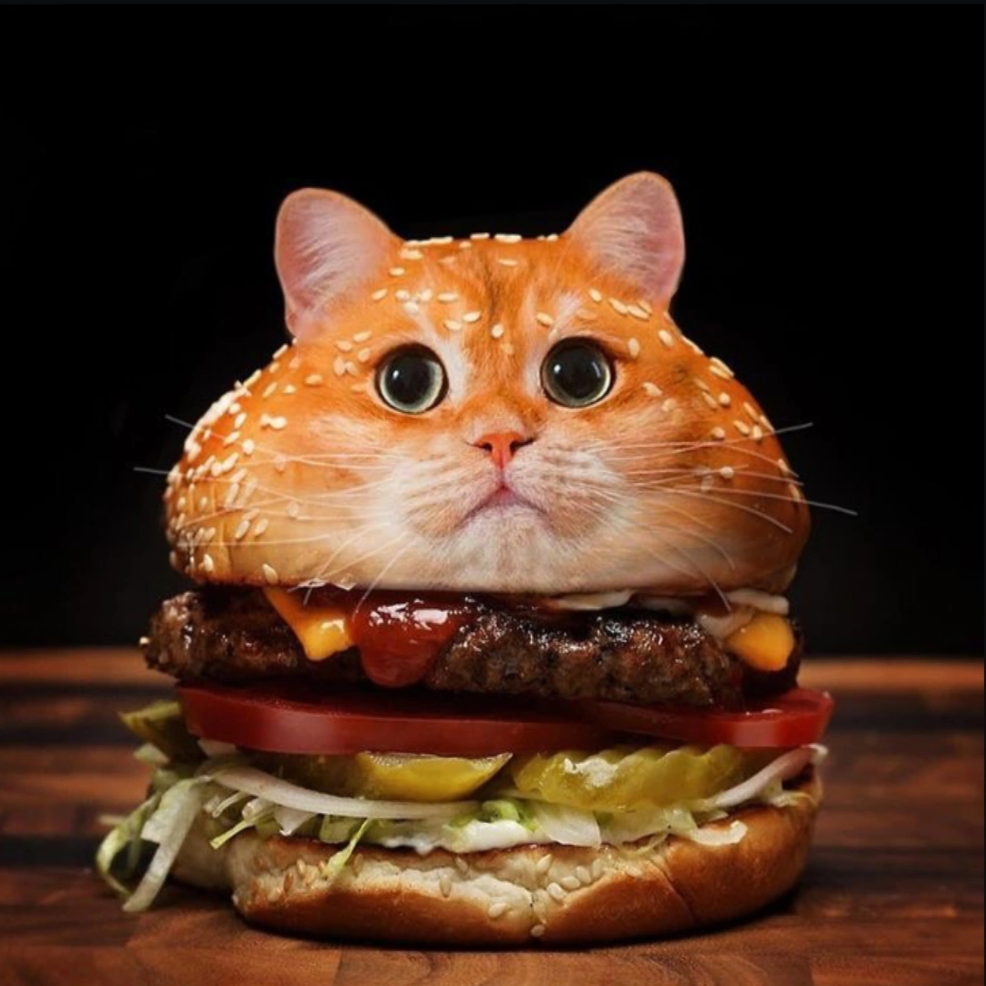 IMG 20250213 195848 516