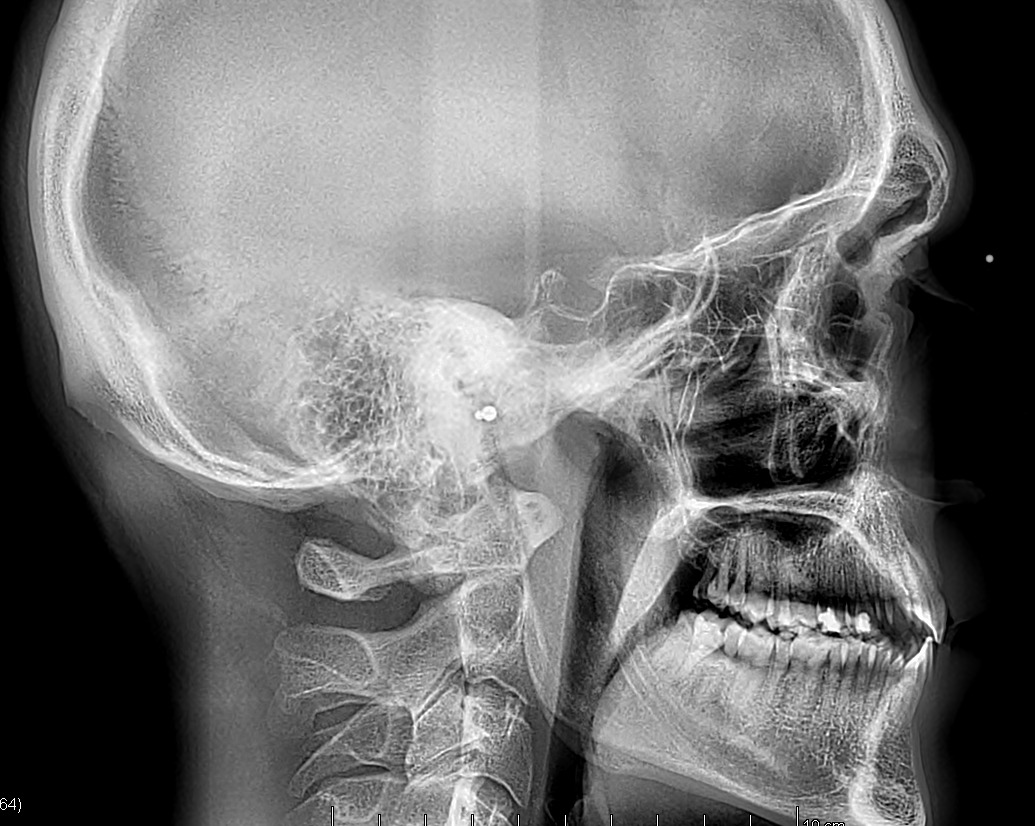 WhatsApp Image 2026 02 06 at 160935