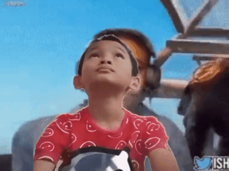 Twitter gif 1764369723967