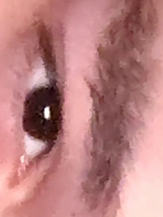 Bhth