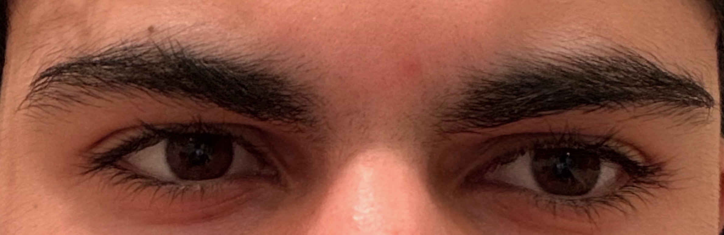 43CD653C F08F 4B67 A451 D10D65F5210C