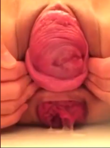 Screenshot 2026 02 07 33401 PM