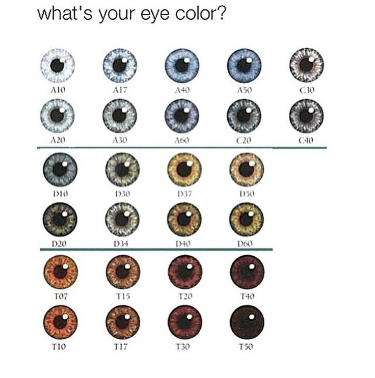 1770513172531