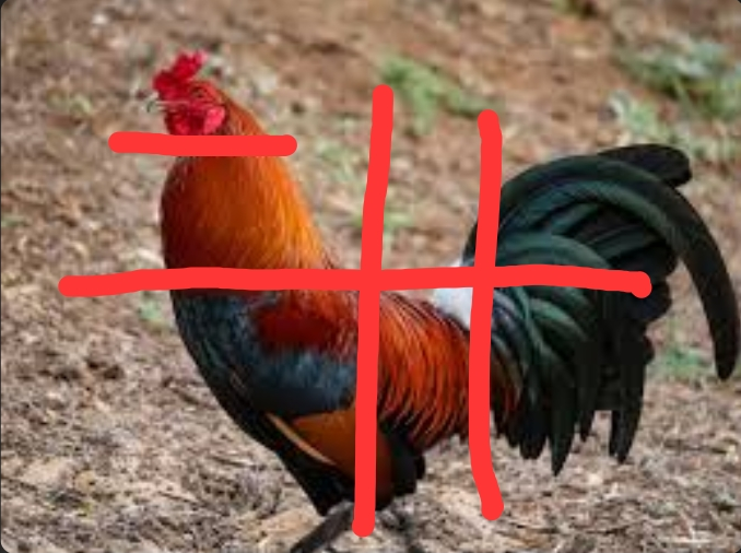 Screenshot 20260208 182629 Chrome