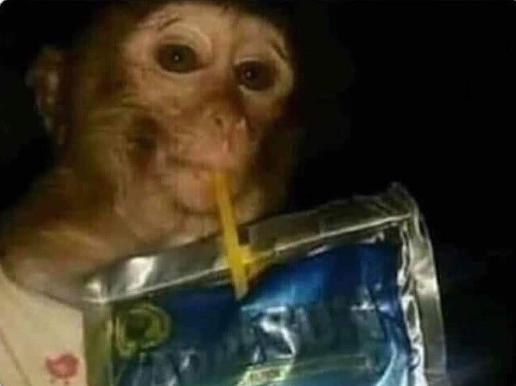 9f5175e6537da2e0a9ca014d2dd1dcac 2