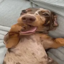 Da6de031 6b13 47e3 b051 ae01b5ad21dc