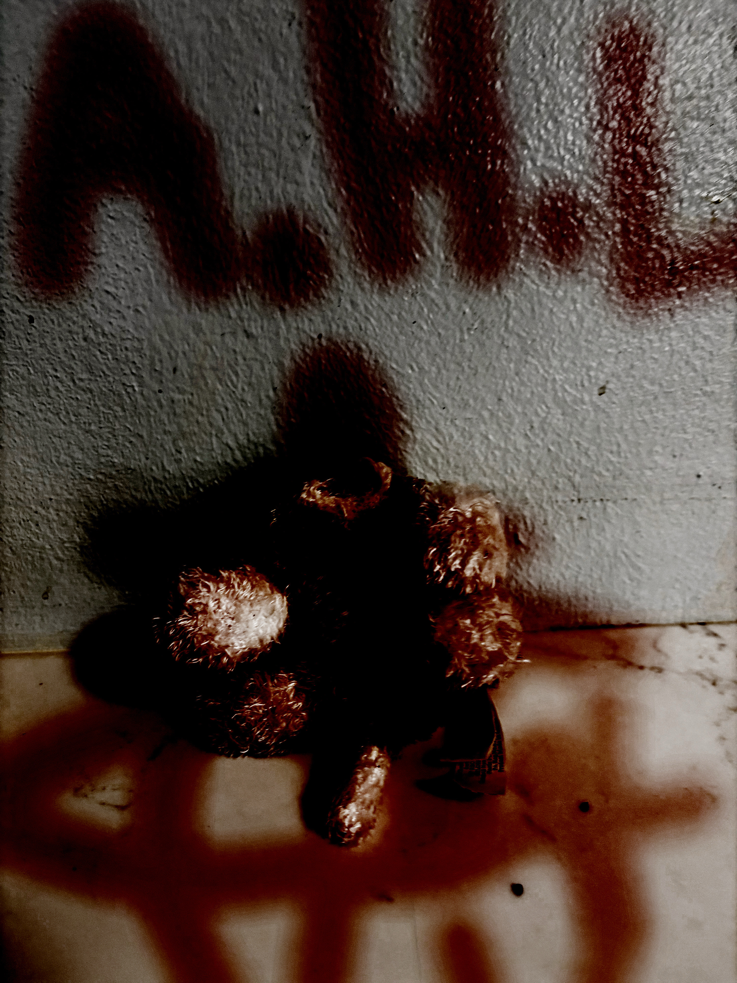 E912FB95 ED58 4438 B907 A33048FE88D3