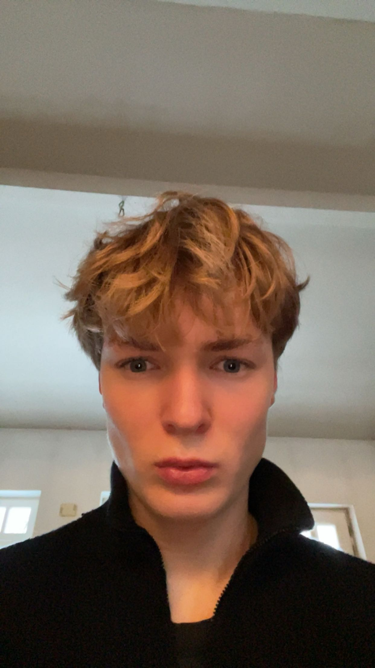 IMG 0229