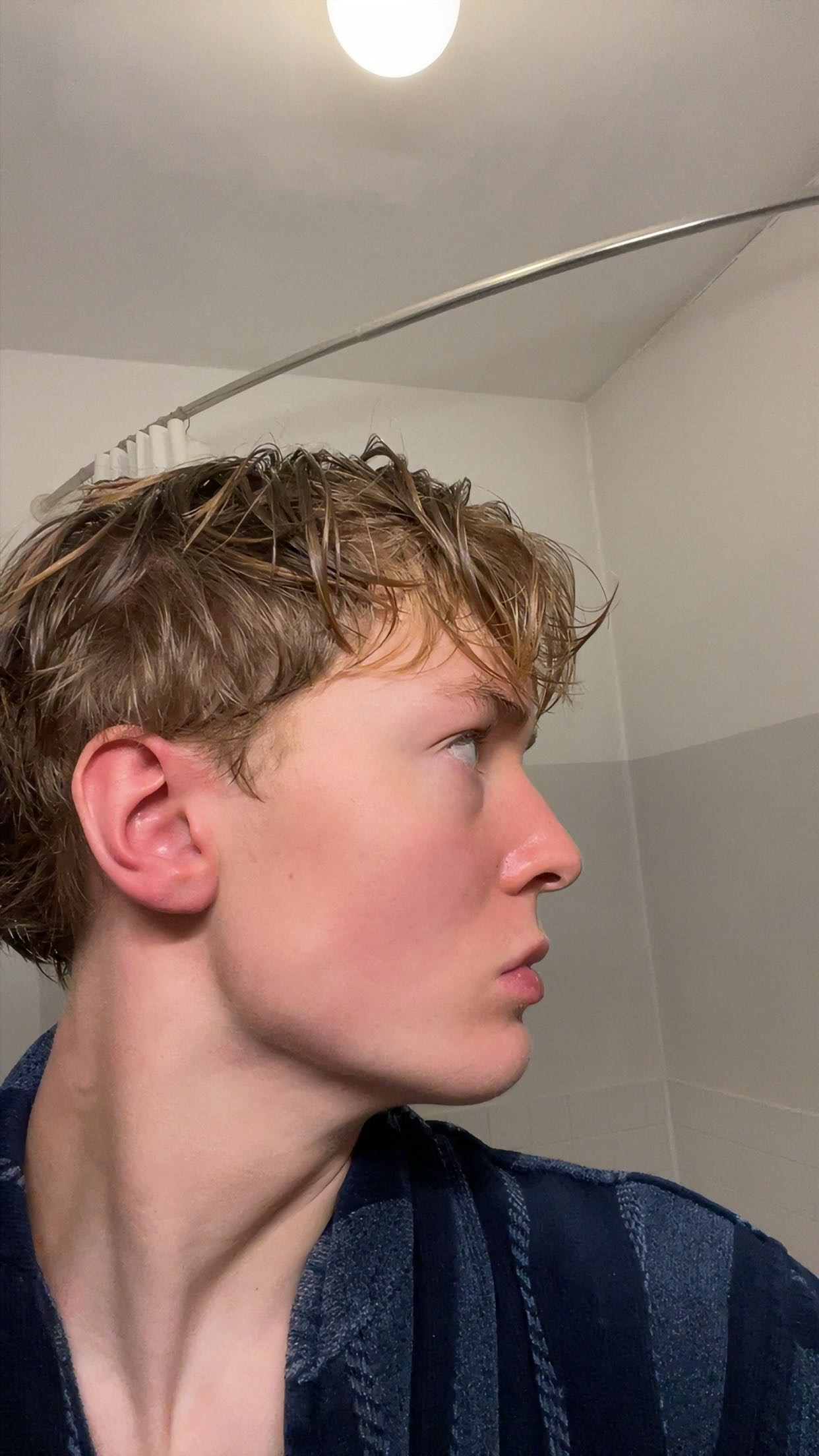 IMG 0211