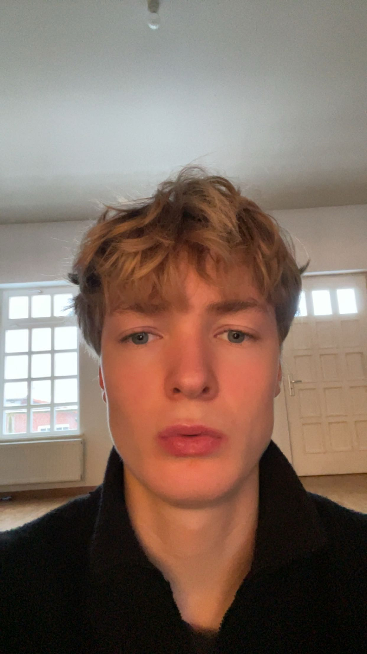 IMG 0239