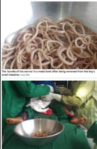 1770758651125