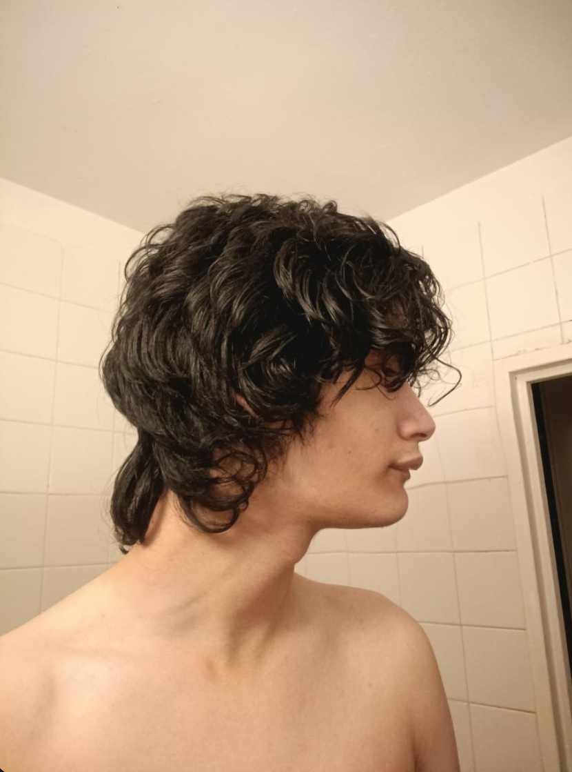 Capture dcran 2026 02 11 004015