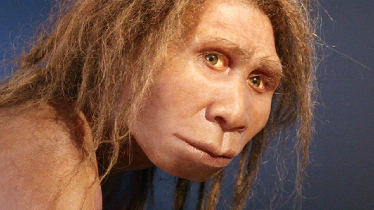 Homo georgicus header