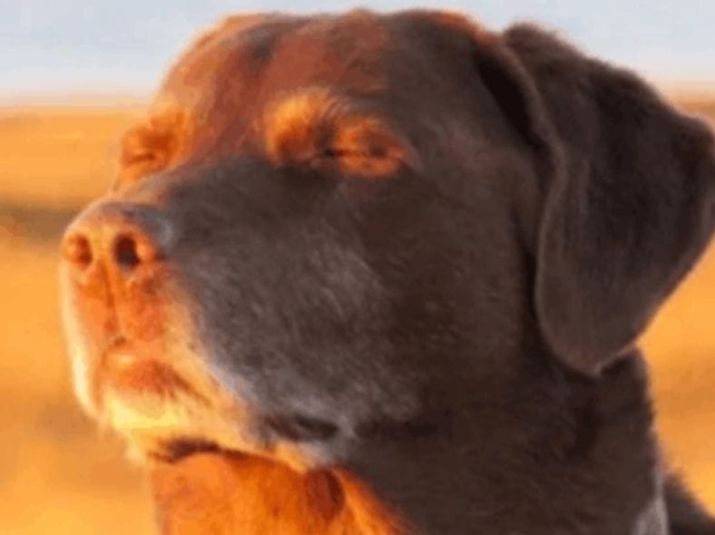 0811751c 2566 4d4c a14b 28a90fa5e30b