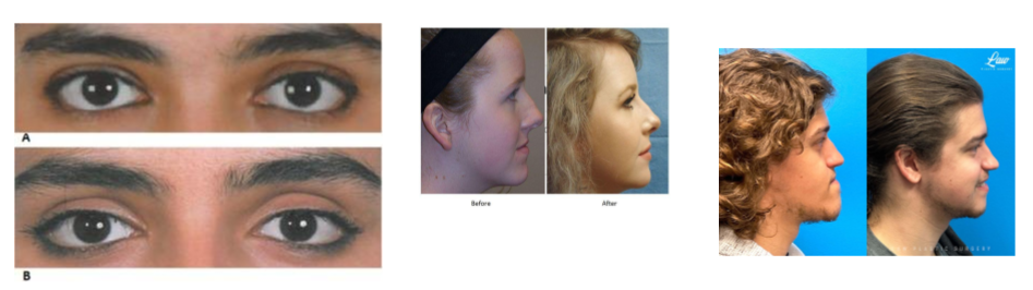 Untitled presentation 5 1