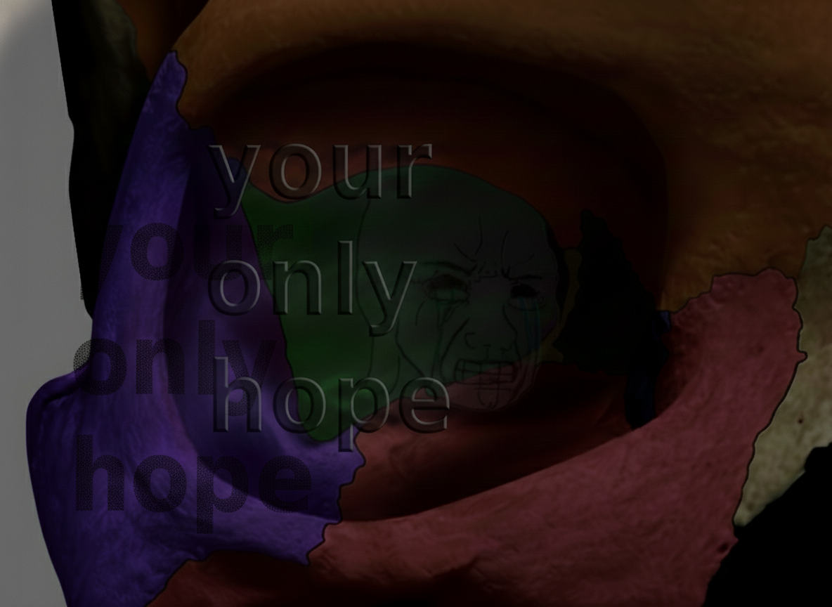 Gemini Generated Image elhlb6elhlb6elhl