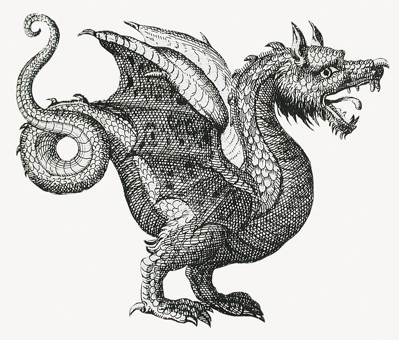 CHJpdmF0ZS9zdGF0aWMvaW1hZ2VzL3dlYnNpdGUvMjAyNC0xMS9wZG1pc2Nwcm9qZWN0MjctbGFjbWEyMzQ2MDNhLWltYW