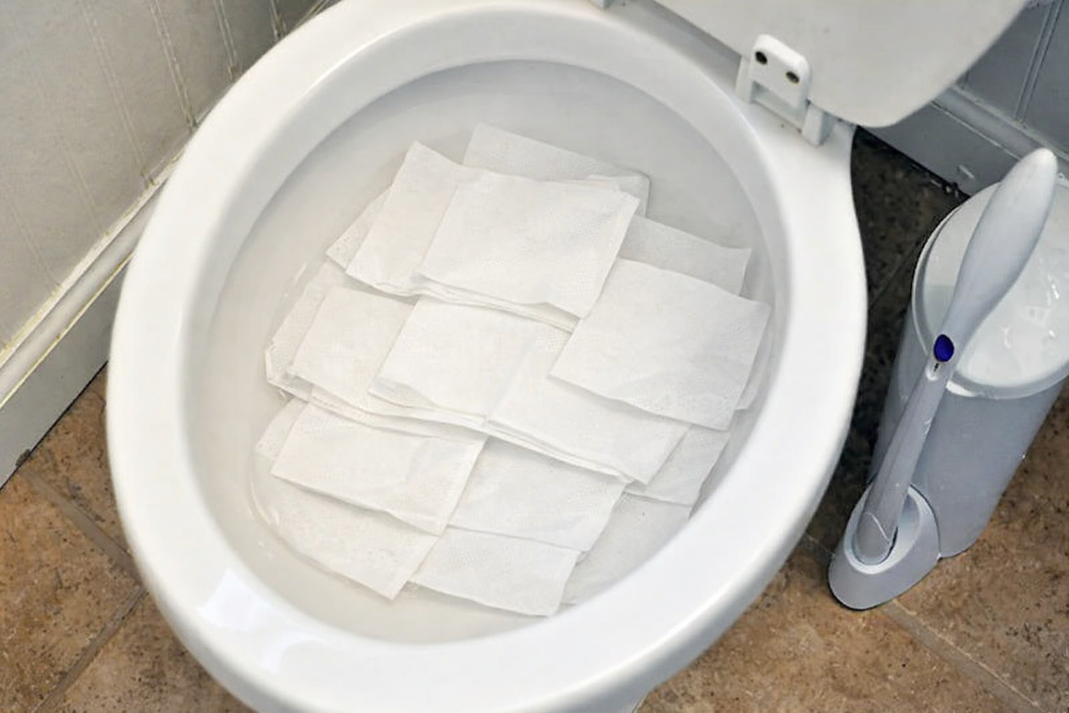 ChatGPT Image Feb 13 2026 11 36 19 AM