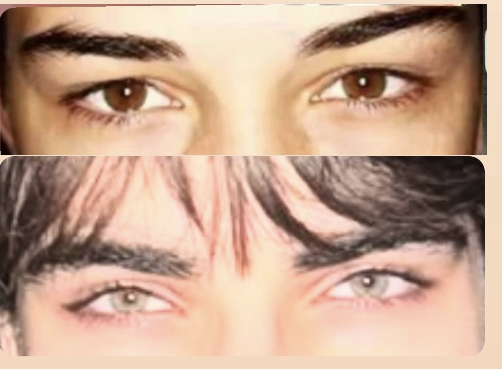 1DD3DCDB D6C5 4647 B9A8 741FA227AB2C