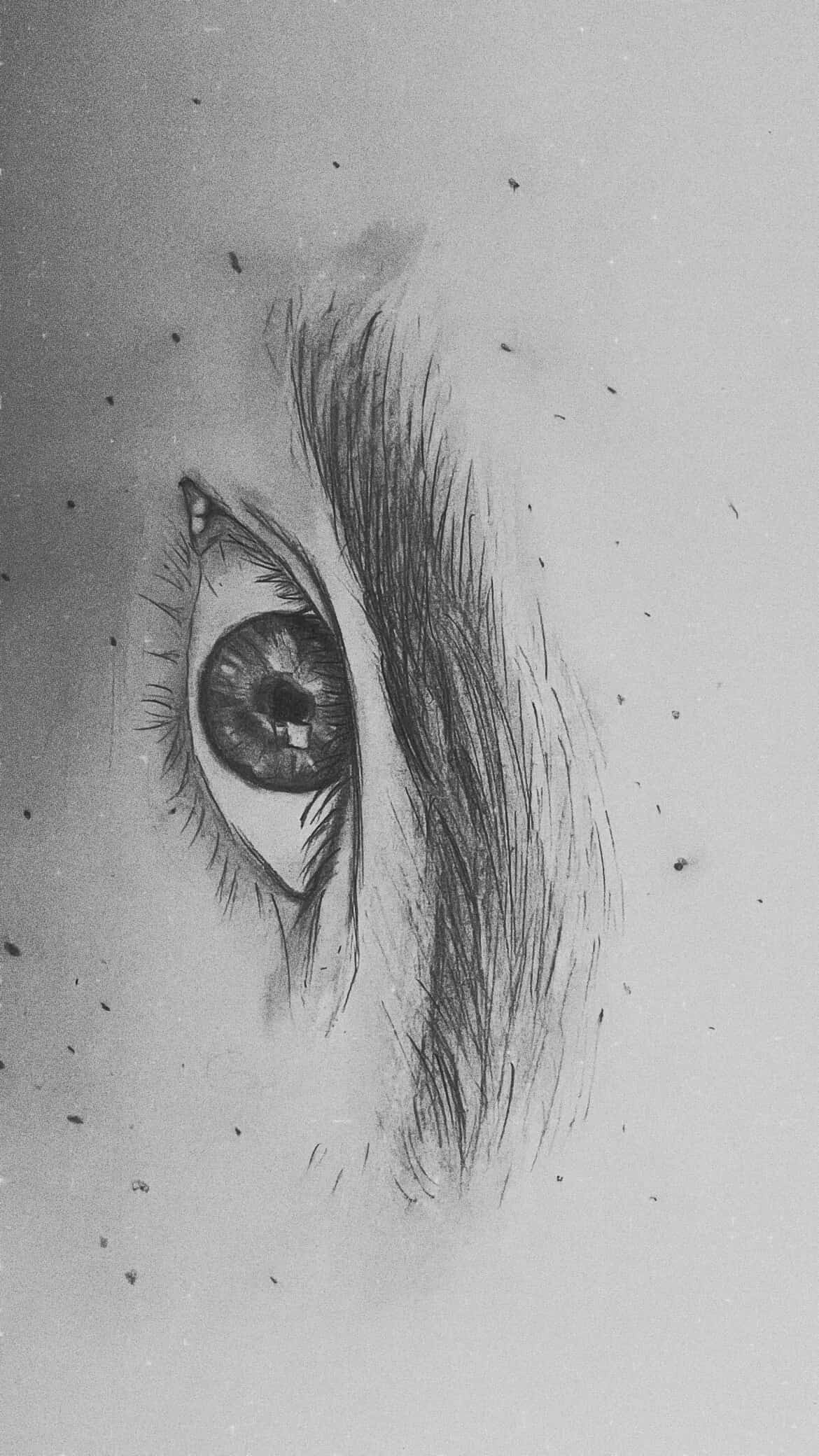 F17AD4FB 5BE8 4C2C 9DC9 24671AEE1DD4