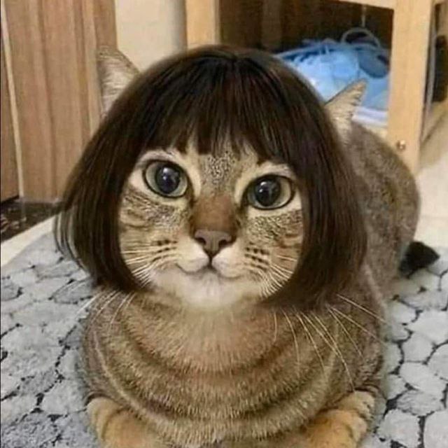 5197686 IMG 20250627 083536 677