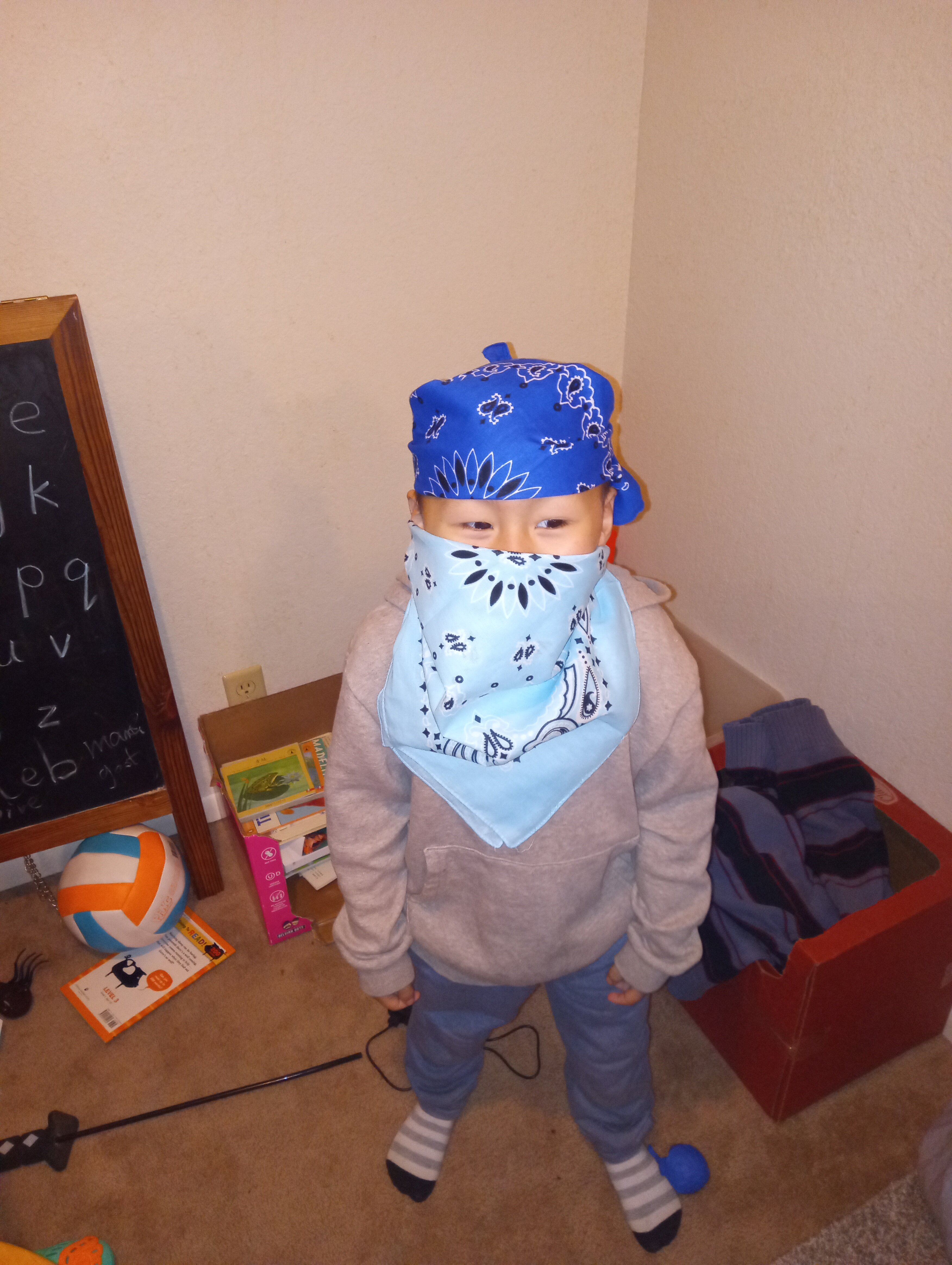 IMG 20260202 181741503