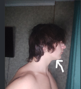 Screenshot 2026 02 15 204240